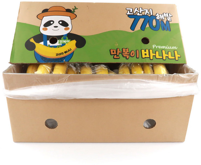 정품 고당도 바나나, 1개, 7kg (3-6송이)