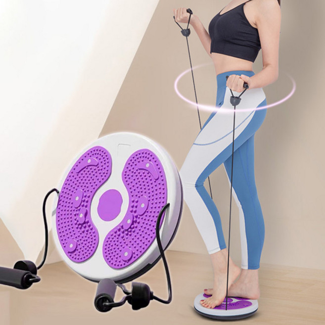 디앤몰 다이어트 헬스 허리운동 뱃살 홈트 트위스트 원반 실내 운동기구, F360 (퍼플)