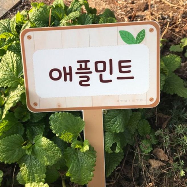 루미트리텃밭팻말, 1개