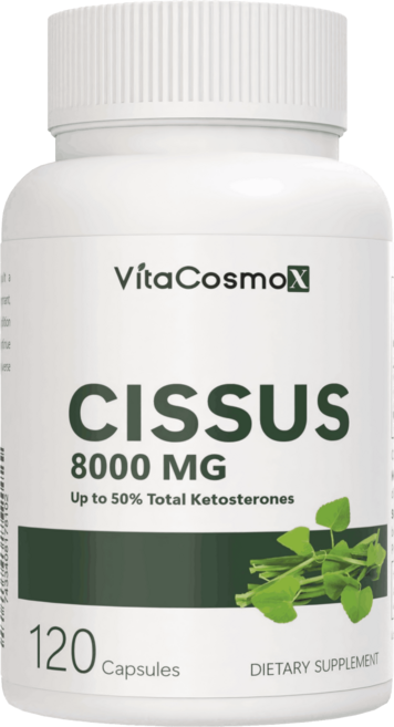 VitaCosmoX 미국직배송 시서스 8000mg 120캡슐, 1개, 120정