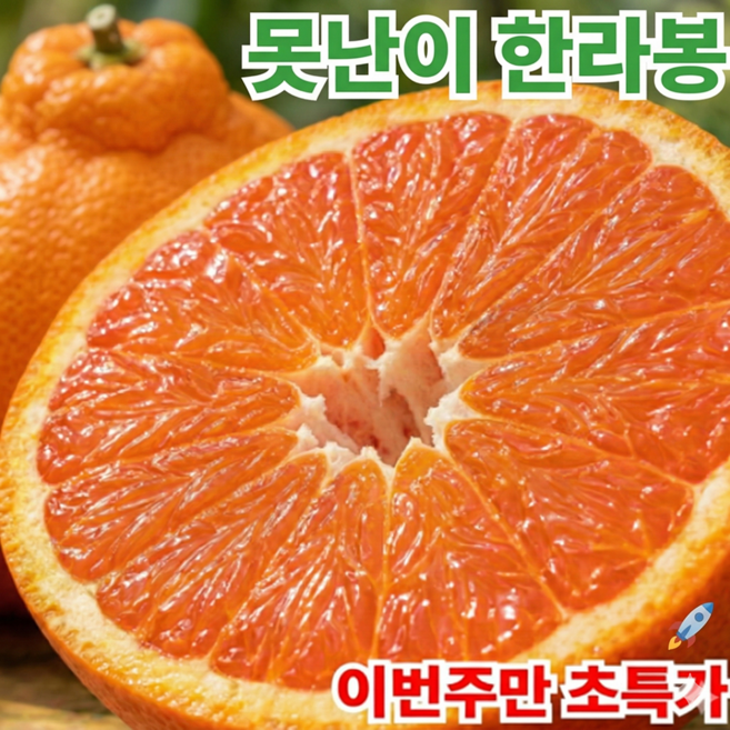 [초특가] 가성비1등 단7일진행 제주 못난이 한라봉, 1박스, 5KG