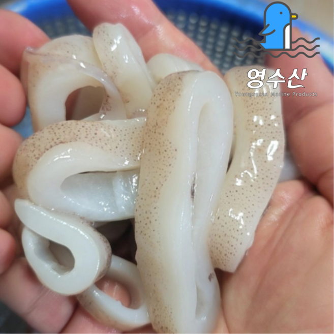 냉동 오징어링 (연안산), 1개, 3.5kg