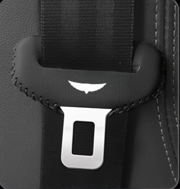 차량용 안전벨트 버클 보호 커버 방진 방수 편안 설치 용이 세척 가능 내구성 제네시스 전용, 2개, 검정Black