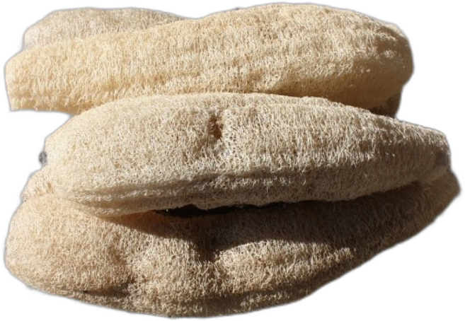 못난이 천연수세미 - 국산 친환경수세미 30~40cm, 5개, 5개