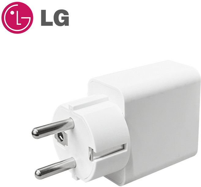 LG센터 정품 GAN 65W 어댑터 C타입 노트북 PD 충전기 접지형 LP65WGC20P, 1개