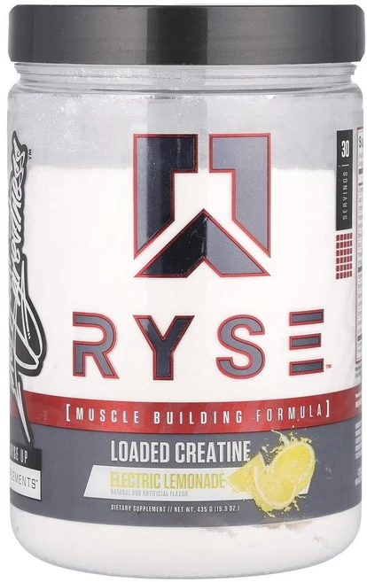 라이즈 RYSE 로딩 크레아틴 일렉트릭 레모네이드 435g15.3oz125164원산지:기타, 1개, 1개 - 쿠팡