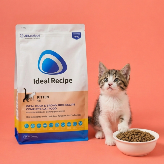 아이디얼레시피 고양이사료 캣 키튼, 1개, 1kg, 가수분해 연어