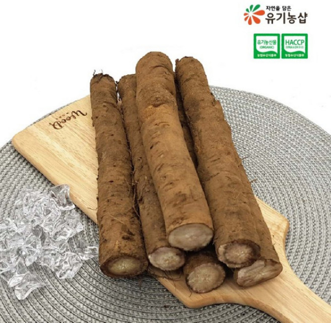 국산 우엉 유기농 국내산 500g, 1개