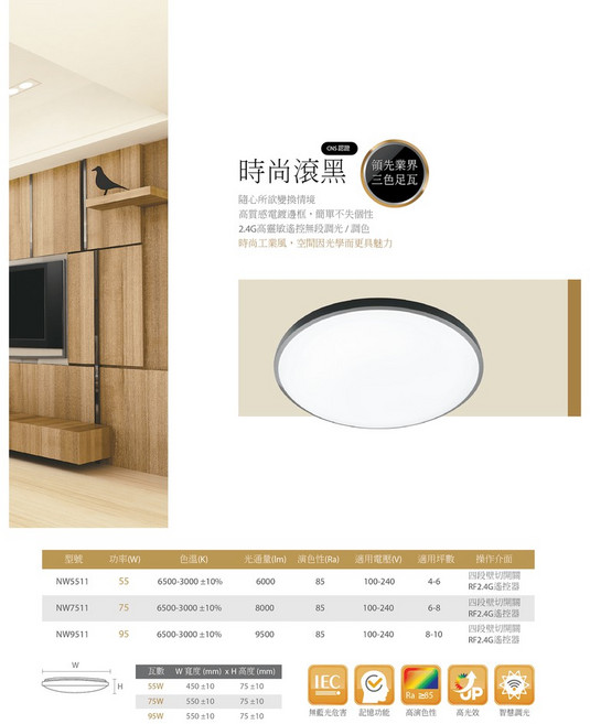 Newwin 時尚滾黑 系列吸頂燈 無段調光調色 2.4G 遙控器