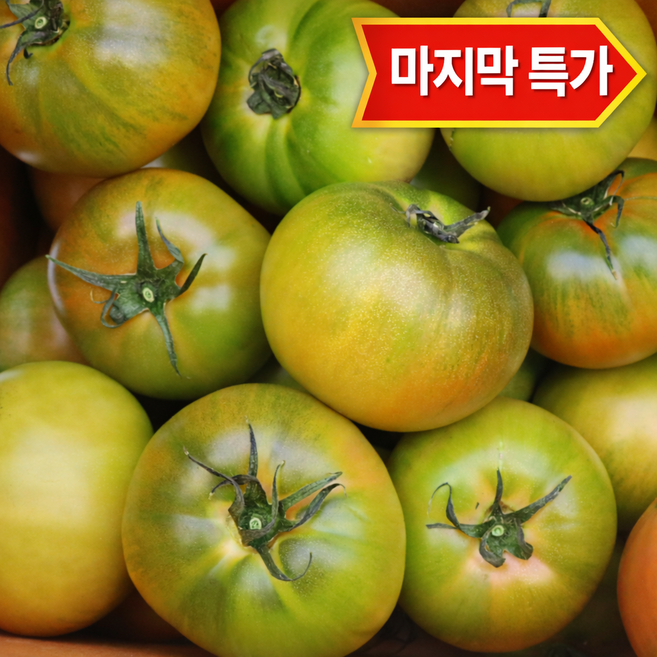 [신선보장] 대저 토마토 짭짤이 로얄과, 1박스, 1kg(3S-S)일반