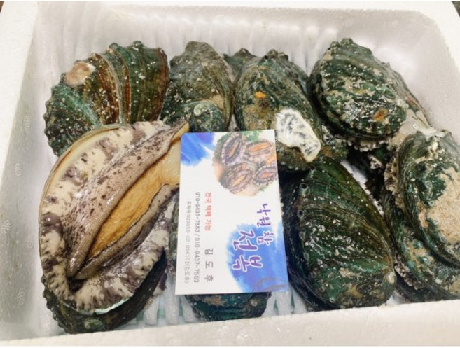 낙원참전복 1kg 9-10미 전복 완도 보길도 전복 [원산지:국산(전라남도 완도군 보길면)], 9개