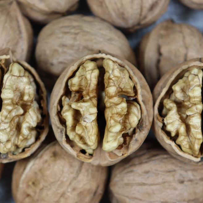 국산 안동 햇 호두 1키로 2키로 안동호두 피호두 알호두 (호두망치드림), 1세트, 1kg