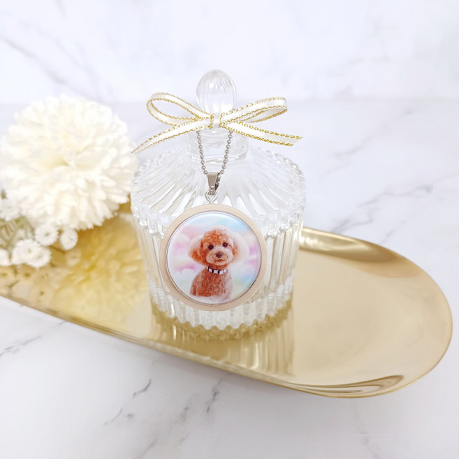 강아지 고양이 유골함 스톤함 반려동물 애완 메모리얼스톤 루세떼 보관함, 무지개, 1개