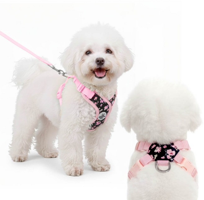 견행묘행 강아지 꽃무늬 하네스 목줄 리드줄, 1개, 핑크