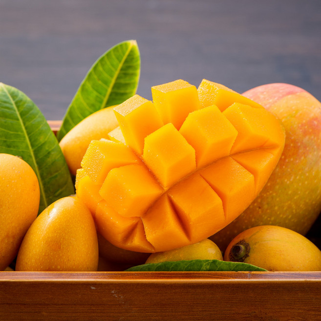 항공직송 망고 태국 골드망고 열대과일, 1박스, 대과 10-14과 (5kg내외)