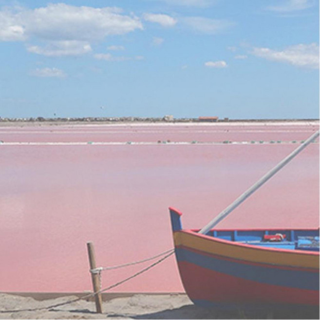 태양열 회전 전투기 차량용방향제 주차번호판 명품방향제 실내 호환, 핑크샌드, 1개