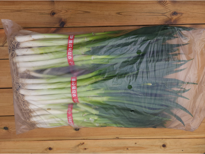 흙대파 원물 가정용 요리용, 1kg, 1개