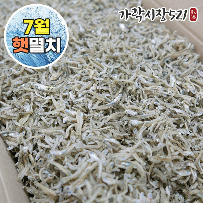 가락시장521 볶음용 햇 지가이리 1.5kg 국산 대용량 잔멸치 볶음멸치, 1개