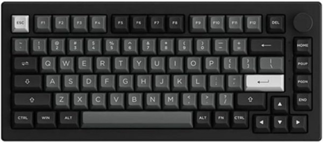 Akko 5075B Plus 75% RGB 핫스왑 기계식 키보드, Dracula, Black Silver Color, 1개