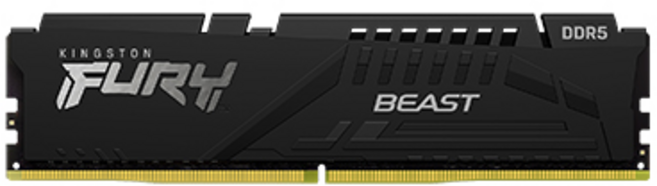 Kingston Fury Beast DDR5 記憶體, 1個, KF552C40BB-32