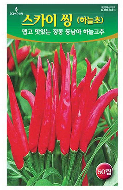 동남아 하늘 스카이씽 고추 씨앗 고추씨 50립, 4개