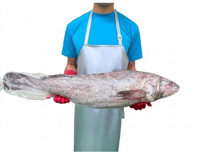 7위 - 자연산민어 횟감 5kg 한마리 손질여부 옵션선택, 횟감으로 손질해서, 1개