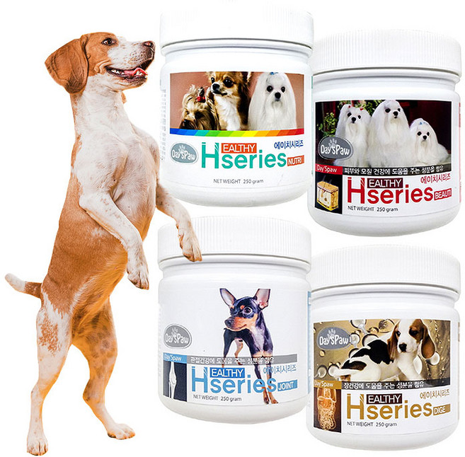 데이스포 에이치시리즈 영양제 종합관절장피부250g, 250g, 뼈/관절강화, 1개