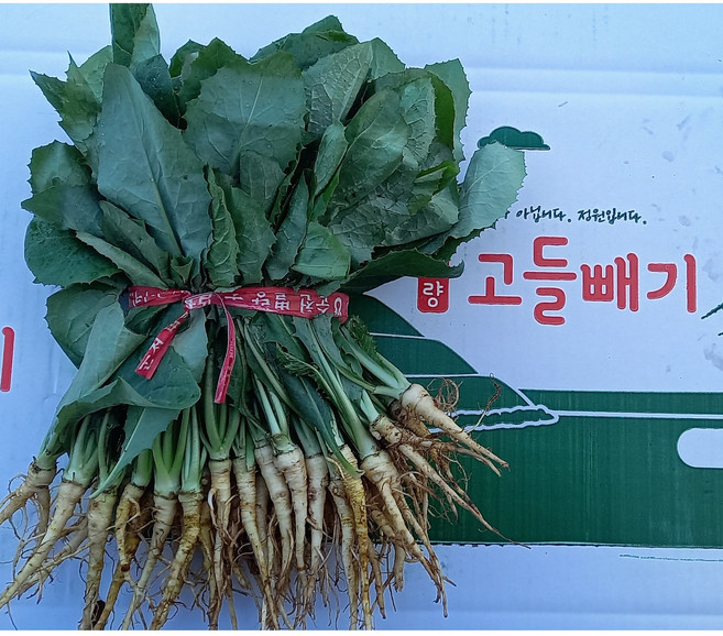 참농인고들빼기5단(하늘이내린약초고들빼기 ), 350g, 1박스, 1.75kg