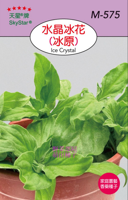 天星牌水晶冰花種子 (冰原) M-575，野菜部屋家庭園藝香藥種子, 1個