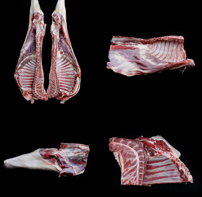 단단푸드 호주산 수입산 염소고기 냉동 수육 전골 식당납품 2kg, 앞다리 2kg, 1개