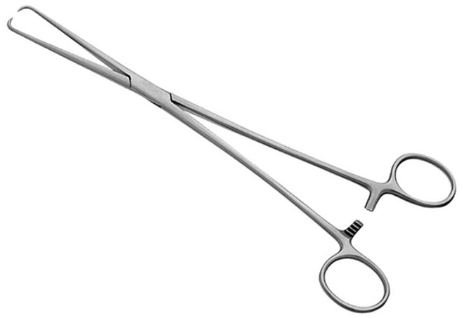 [KASCO] 브라운 테나큘럼 포셉 11-155A (25cm), 1개