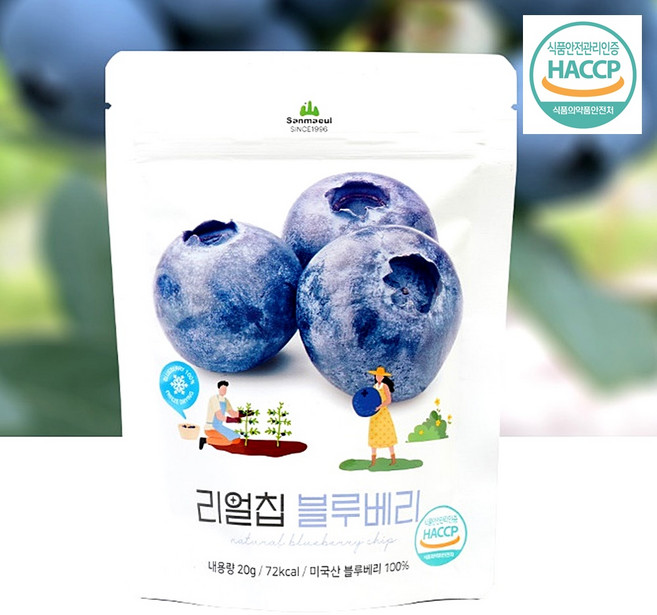 동결건조과일 블루베리칩 리얼칩 블루베리 푸른샵, 20g, 3개