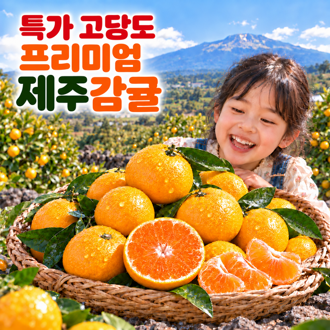 맛나몰 하루한정 50개 고당도 제주감귤 프리미엄, 1박스, 5kg