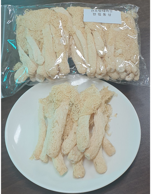 건조(노랑)망태버섯 죽생버섯 사천성 망태버섯, 1개, 100g