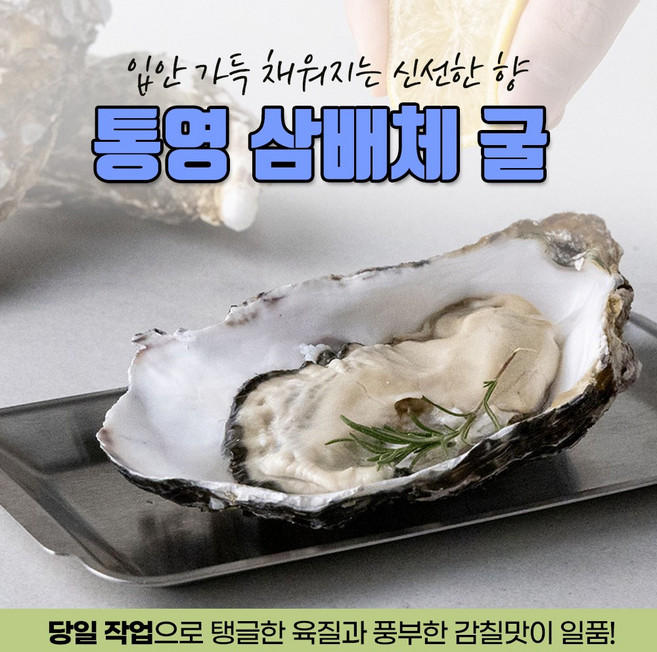 [건강한농부] 국내산 통영 삼배체 굴 / 당일작업 산지직송 프리미엄굴, 1개, 삼배체 굴 1kg