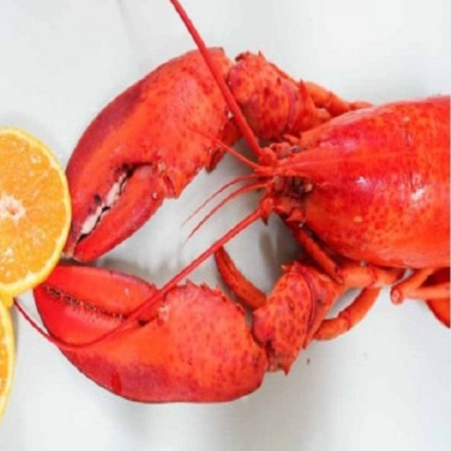 동아씨푸드 캐나다 자숙 랍스터 1마리 450g 내외, 450g내외, 1개