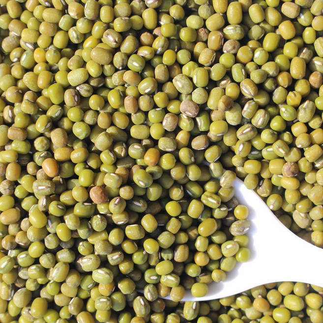 국산 녹두 통녹두 1kg 2025년산, 1개