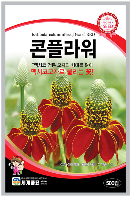 모칸도 (무배)세계 콘플라워씨앗(500립), 1개