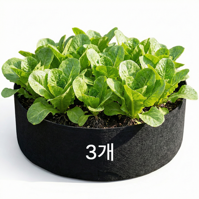 낮은원형 그로우백 부직포 화분 숨쉬는화분 베란다 텃밭 대형화분, 3개, 블랙