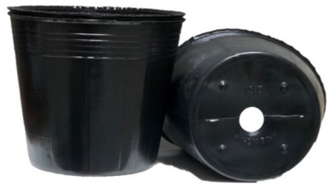 [텐플러스원] 왕도매) 비닐포트 6치 대용량 블루베리포트 컵포트 비닐포트, 500개, 블랙