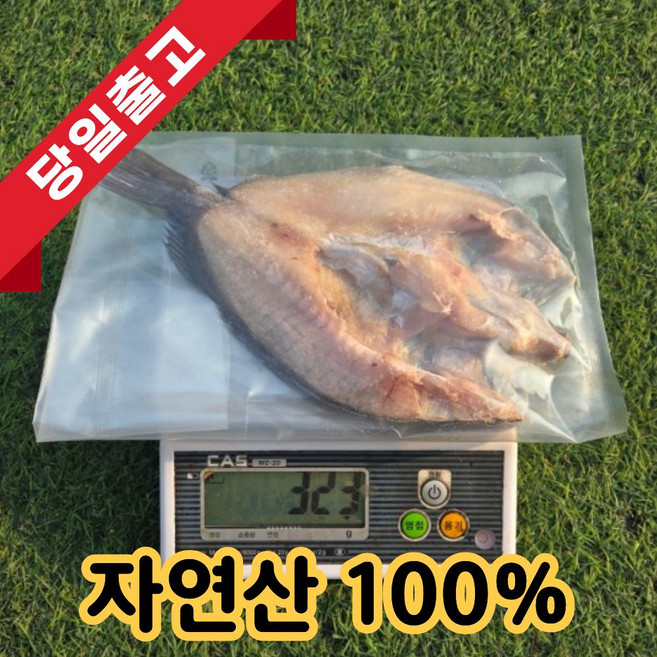 [자연산100%] 반건조 우럭 국산 대 특대 초특대, 1박스, 대 2미