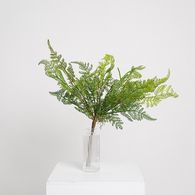 플라우스302 플랜트월 카페 매장 포토존 장식 플라워월 수직정원 식물벽 잔디판, f.추가장식_베이비고사리부쉬