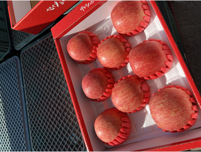 테이블063 국내산 부사 사과 선물세트, 1세트, 3kg