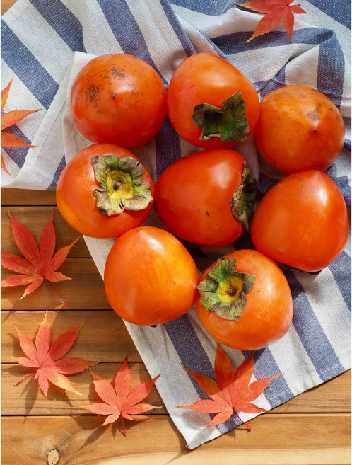 [달콤촉촉] 산지출고 씨없는 반건시 홍시 청도반건시 1박스 1kg, 1kg 중대과