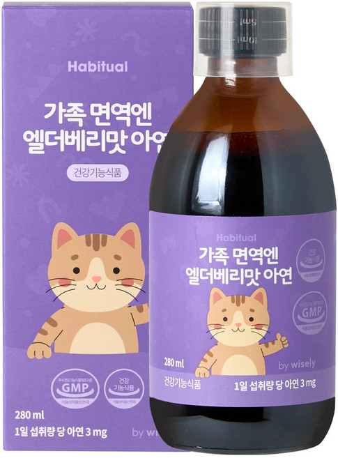 와이즐리 가족면역엔 엘더베리맛 아연, 1개, 280ml