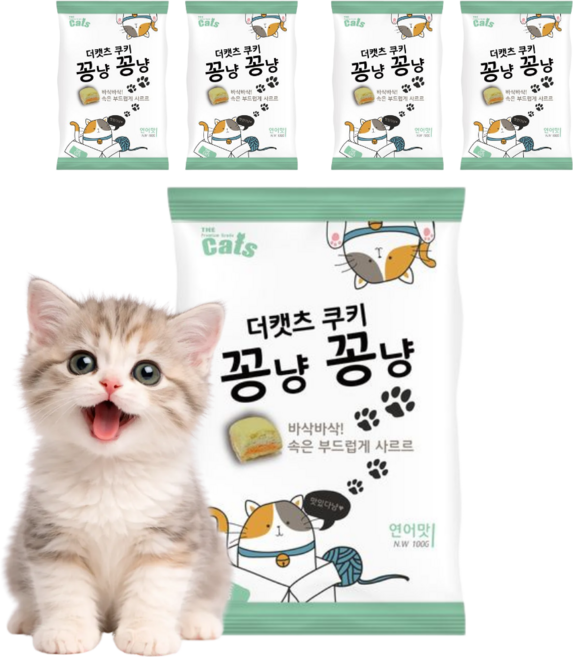 더캣츠 꽁냥꽁냥 고양이 바삭 스낵, 5개, 100g, 연어맛
