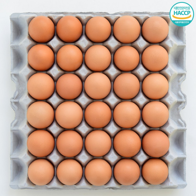 싱싱냠냠 국내산 HACCP 무항생제 신선 무정란 특란, 1박스, 30구