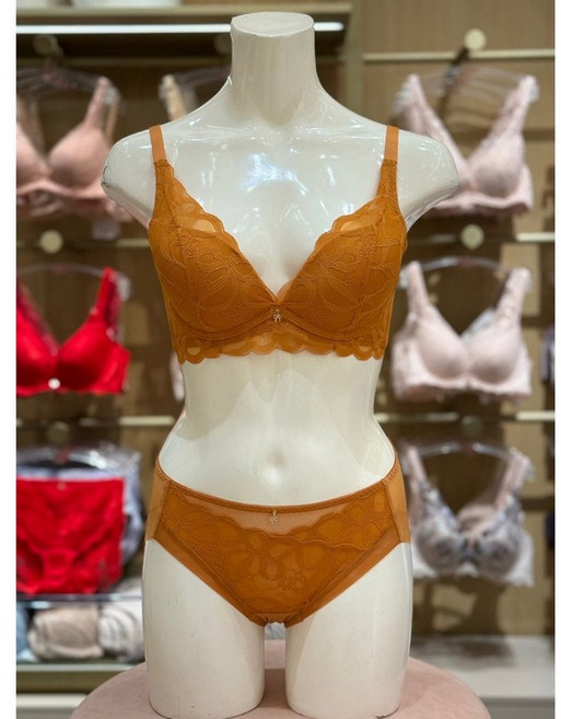 트라이엄프 75A~80C드리밍리본 2.0 젤패드 블랙 브래지어+햄라인 팬티세트 TEWBR711BP711BRDH5309164