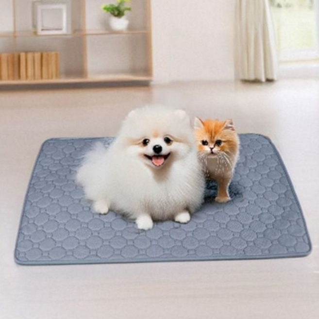 강아지 배변 패드 재사용 세탁용 반려동물 애견 배변 패드 대형견 흡수 훈련 배변훈련 미끄럼 매트 세척, 빨아쓰는애견패드 50X35