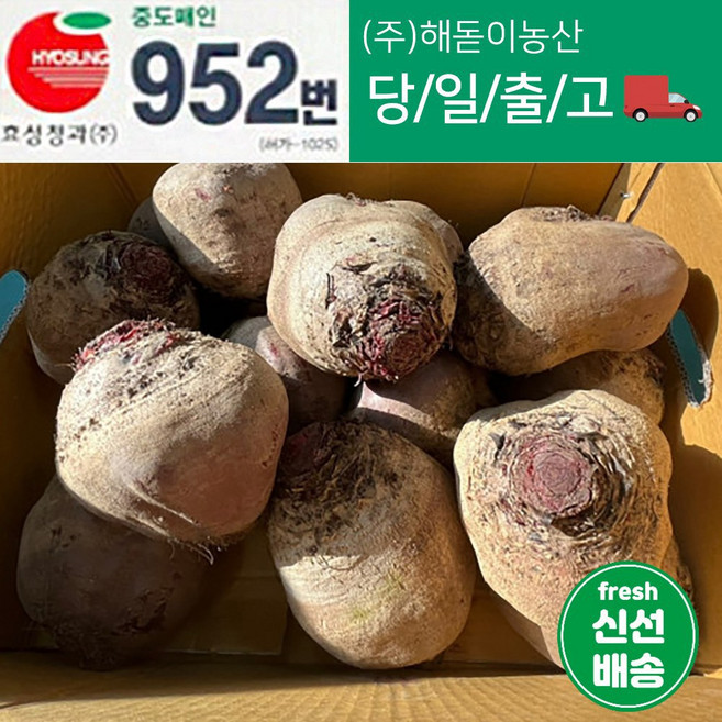해돋이농산 제주 레드비트 비트 5kg 10kg내외(상세페이지참조), 1박스, 10kg내외